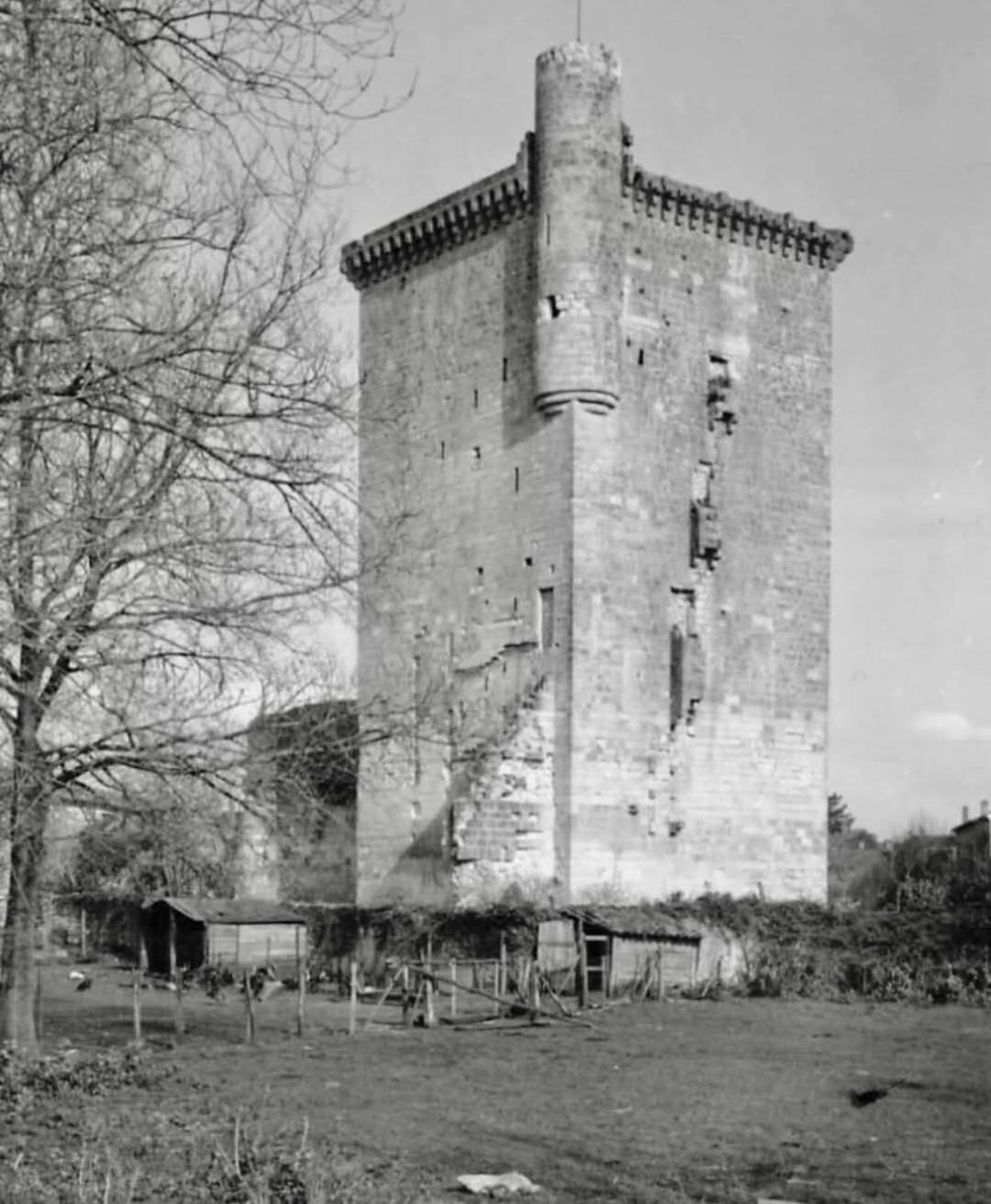 La Maison De Jeanne Lesparre-Médoc Dış mekan fotoğraf